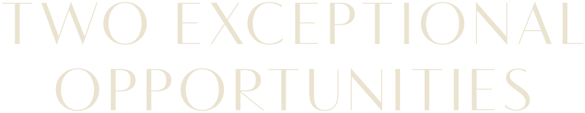 Two Exceptional Opportunities